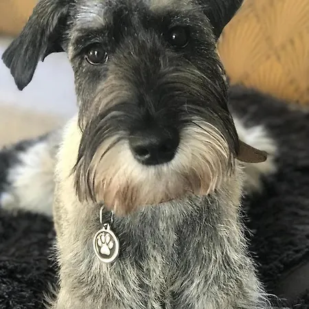 Domaine Bourgogne En 