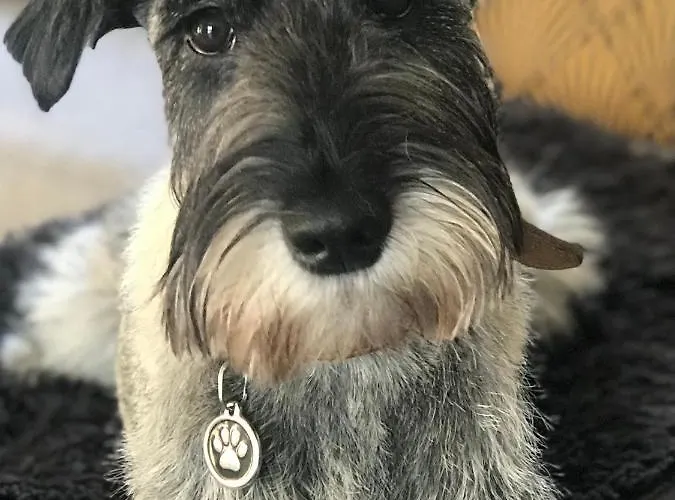 Domaine Bourgogne En 